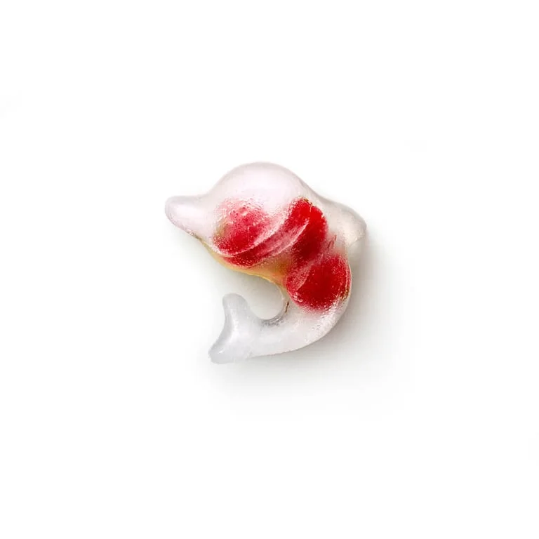 Ice cube tray with lid Lekue, dolphin