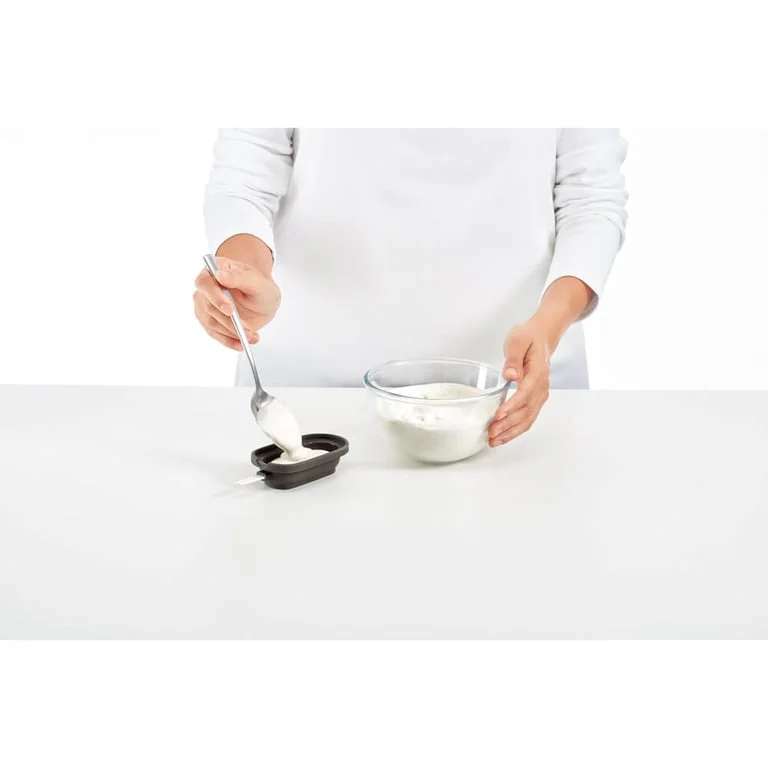 Ice cream moulds with lid Lekue, classic, 4 pcs