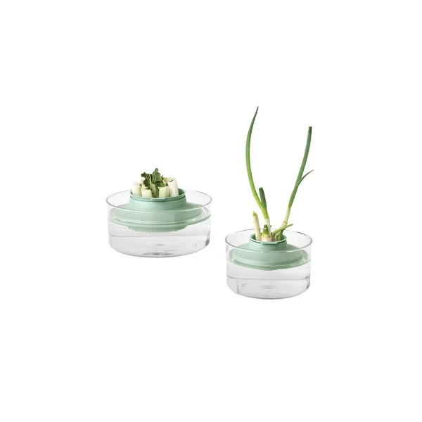 Herbs and Vegetables Regrow Kit Brabantia Tasty+, Jade Green