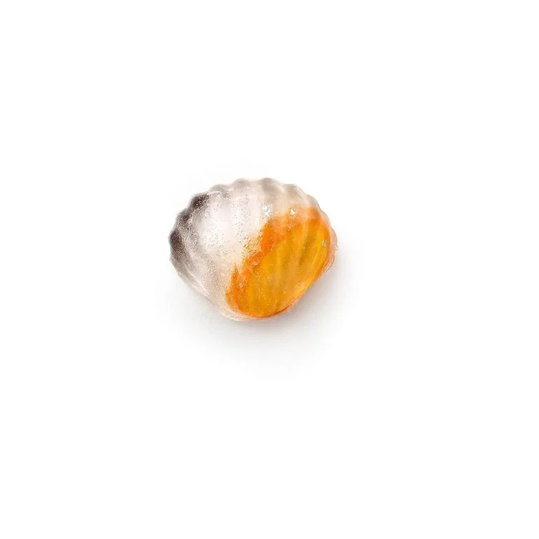 Ice cube tray with lid Lekue, shell